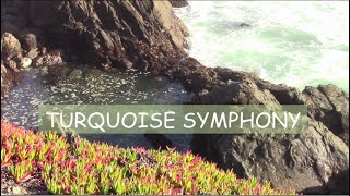 Turquoise Symphony