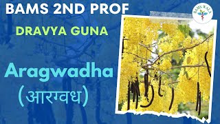 DRAVYA GUNA 2nd PROF  ||  ARAGWADHA (आरग्वध)  ||  ACCORDING TO NCISM  ||  BAMS WALA  ||