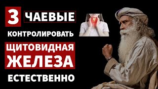 как разум создает и лечит болезни в теле? | Здоровье | ft.Садхгуру