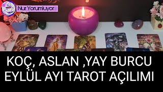 KOÇ 🪷 ASLAN 🪷 YAY BURCU EYLÜL AYI TAROT AÇILIMI #burçyorumları #keşfet