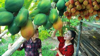 Pick papaya for dessert, cook eggplant, lychee dessert and collect mushroom for soup - Sros Cooking