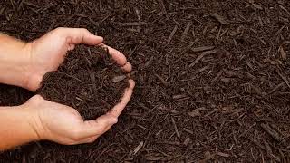 Which Type of Mulch is Right for Your Landscape? | Indianapolis, IN–Tiffany Lawn & Garden Supply Inc