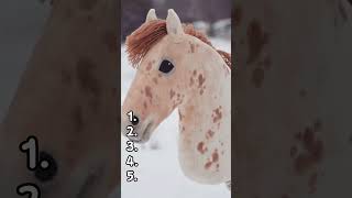 Zrób ranking hobby horse bez zmiany kolejności #hobbyhorse #konie #shorts