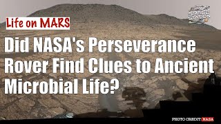 Did NASA's Perseverance Rover Find Clues to Ancient Microbial Life on Mars?