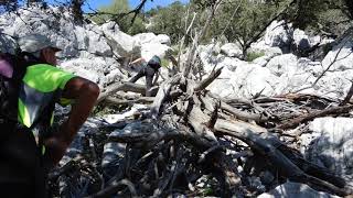 Serra d'Amós.  Amics de sa Tramuntana