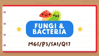 PSLE SCIENCE MADE SIMPLE EP170 | Fungi & Bacteria | Which Cheese Will Have The Least Mould? 🧀