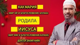 КАК МАРИЯ (МИР ЕЙ И БЛАГОСЛОВЕНИЕ АЛЛАХА) РОДИЛА ИИСУСА (МИР ЕМУ И БЛАГОСЛОВЕНИЕ АЛЛАХА)