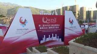 Winechannel - QWine Expo