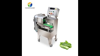 single head vegetable cutter