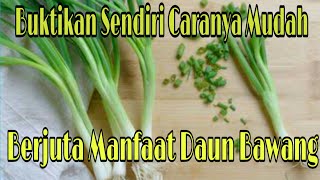 Ternyata Daun Bawang Memiliki Berjuta Manfaat Bagi kesehatan Tubuh kita