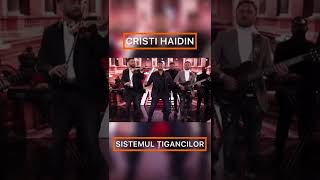 In curand “Sistemul Țigancilor” - CRISTI HAIDIN