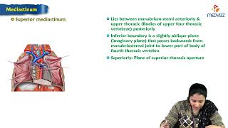 8. Mediastinum : Anatomy of Thorax : MBBS Lecture