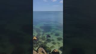 Zona Cazino Constanta ideala pentru snorkeling si relaxare