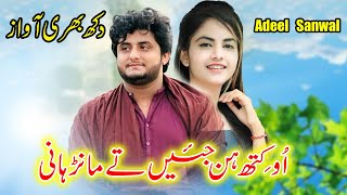 O Keth Heni Jy Te Manr Hani | Adeel Sanawl Suhrani | New Saraiki Song 2024 | Danish Studio Pak