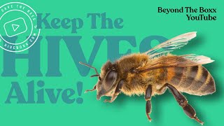 Here's what you can do to help keep the BEES alive!