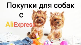 Покупки с AliExpress для собак