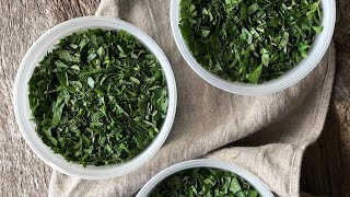 The BEST WAY to freeze herbs + WINTER SOUP herb blend