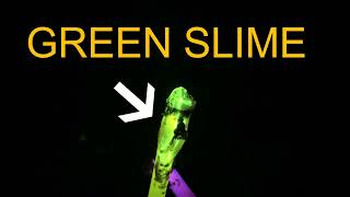 Green slime glow stick