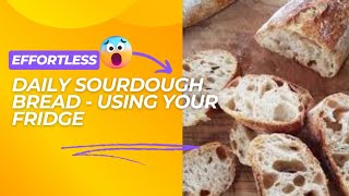 Effortless Daily Sourdough Bread - Using Your fridge