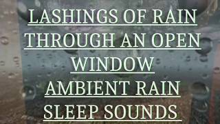 LASHINGS OF RAIN THROUGH AN OPEN WINDOW AMBIENT RAIN SLEEP SOUNDS