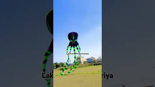 Biggest kites in Punjab#kiteflying #trendingshorts #lakhanambarsariya #viral video#kisanandolan  l