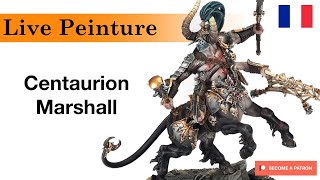 🇫🇷 Rediff Live Twitch : Peinture Centaur Marshall ( Warcry , AoS , Peinture Chill )