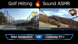 Hitting Sound & BGM 1【SasQuatch vs FT-i】