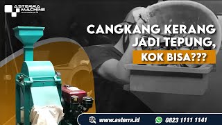 Tepung Cangkang Kerang untuk Pakan Ternak, Ini Mesinnya!!! | Whatsapp: +62 823-1111-1141