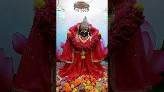 Navrati 20123 Day 7