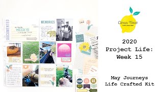 2020 Project Life: Week 15