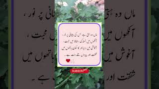 Urdu stories quotes | mother|  quotes #viralvideo #islamic #islamicvideo #quote #religion #musicapp