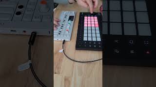 Ableton Move Can be used for live looping #op1 #looper #synth