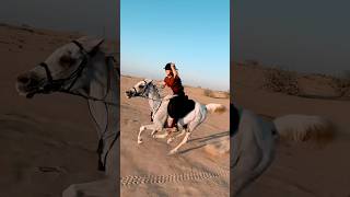 Dubai desert horse riding #horse #equestrian #horserid #horseriders #horselover