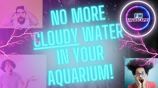 How to clear your cloudy tank | Easy step by step guide | My opinion on API AccuClear. Does it work?