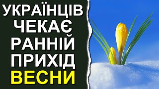 Чем удивит февраль 2024: Погода в Украине на 30 дней