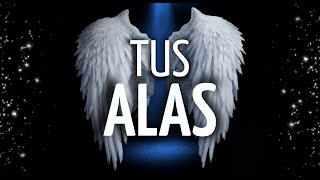 ✨Meditación CREA tus ALAS de ÁNGEL | PROTEGE y ELEVA tu ENERGÍA VIBRACIONAL