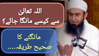 Allah Sy Mangany Ka Tariqa|Dua Kaisy Mange |Tariq Jamil #islamicvideo #emotionalstatus #trending