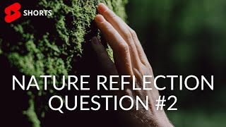 Nature Connection Reflections: Self Inquiry Questions #2 | Trees | #shorts