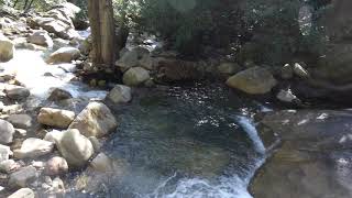 Rattlesnake Creek Rushing Water 20240309 208