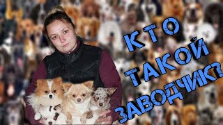 Кто такой заводчик?