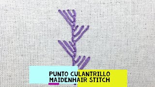 55)*PUNTO CULANTRILLO - MAIDENHAIR STITCH* [Bordado a Mano~Hand Embroidery]