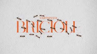 Cartapesta - BRICIOLE (Visual)