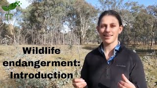 Wildlife endangerment: Introduction | Earth Resources | meriSTEM