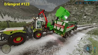 #Chipping #Wood In The #Snow [Co-op!] ERLENGRAT #123 | Farming Simulator 2022