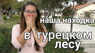 Самая дорогая ЯГОДА в Турции убивает раковые клетки.