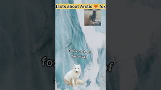 did you know? | facts about Arctic fox| #viral |#trendingshorts #youtubeshorts |#facts