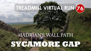 Hadrian's Wall Path 7/13, Sycamore Gap, Northumberland | Treadmill Virtual Run 76