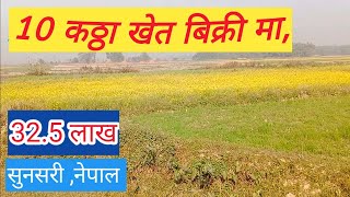 Kheti 10 kattha\Dhan khet bikrima#cheap_land_for_sale_at_nepal #Eaat Nepal real estate\