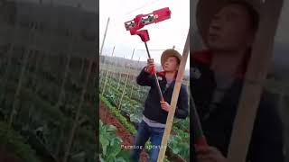 Vegetable agriculture #shorts #farmingupdates #agriculture