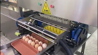 104 A Egg Grading System  Egg Grading Line Working Video